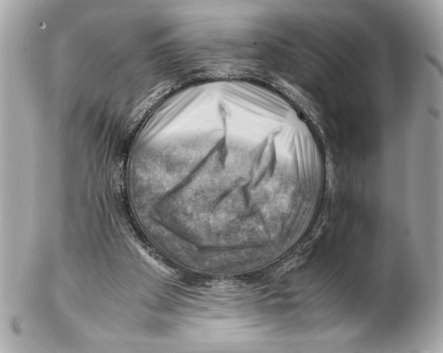 X0000102010105200808151301