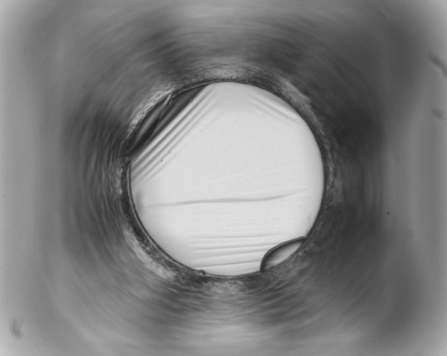 X0000102010106200808151301