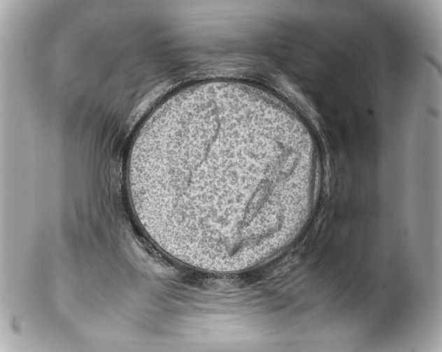 X0000102010107200808151301