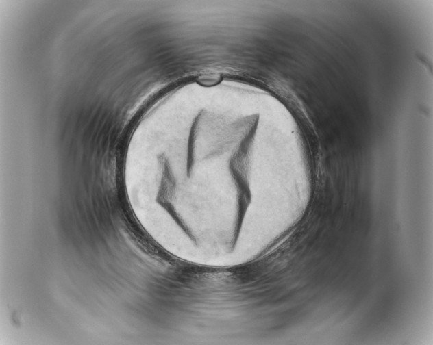 X0000102010108200808151301