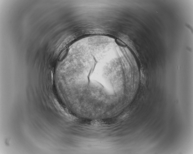 X0000102010109200808151301