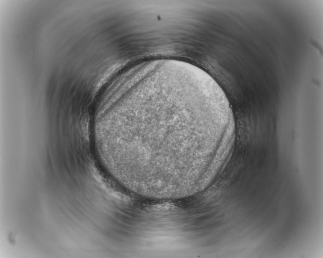 X0000102010112200808151301