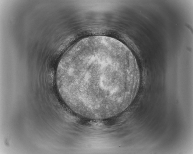 X0000102010113200808151301