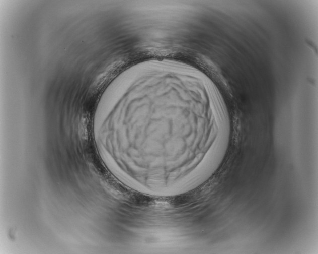 X0000102010114200808151301