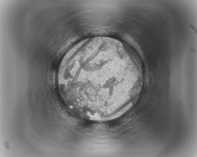 X0000102010115200808151301