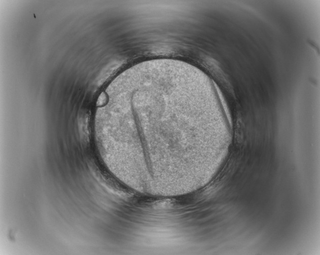 X0000102010116200808151301