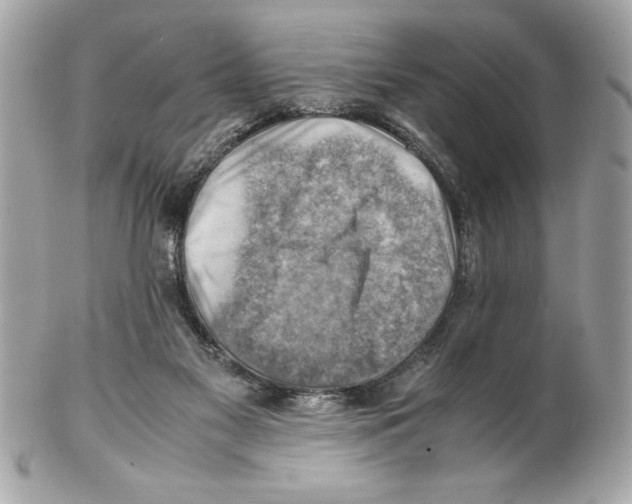 X0000102010117200808151301