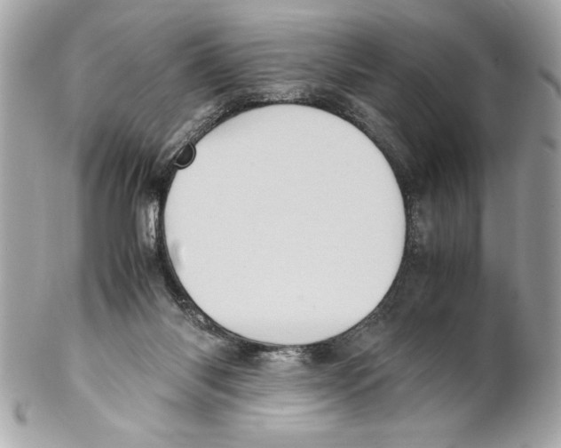 X0000102010118200808151301