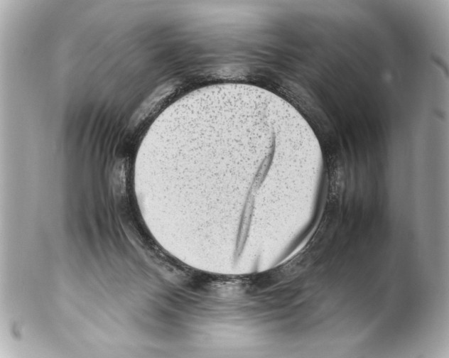 X0000102010120200808151301