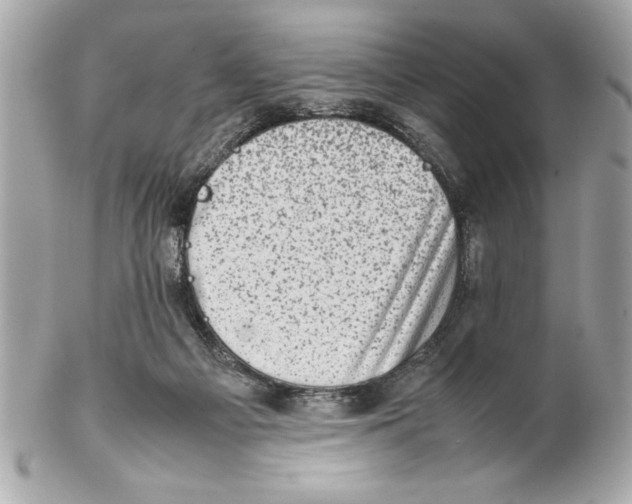 X0000102010121200808151301