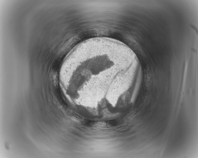 X0000102010123200808151301