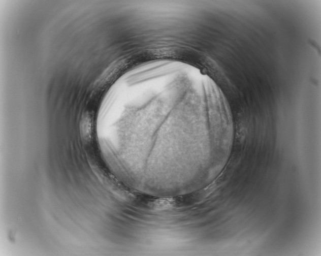 X0000102010124200808151301