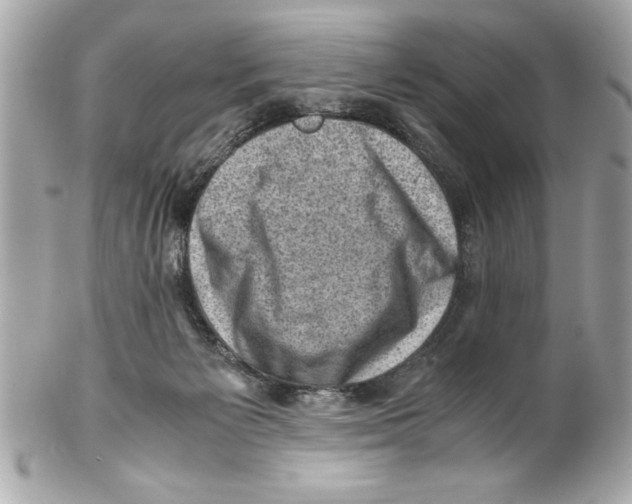 X0000102010125200808151301