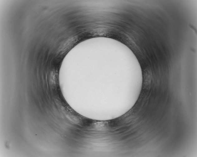 X0000102010126200808151301