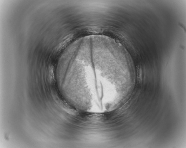 X0000102010128200808151301