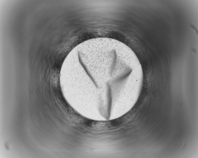 X0000102010129200808151301