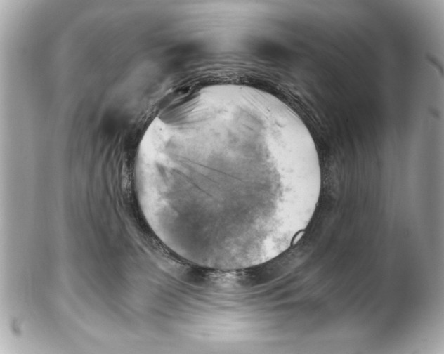 X0000102010131200808151301