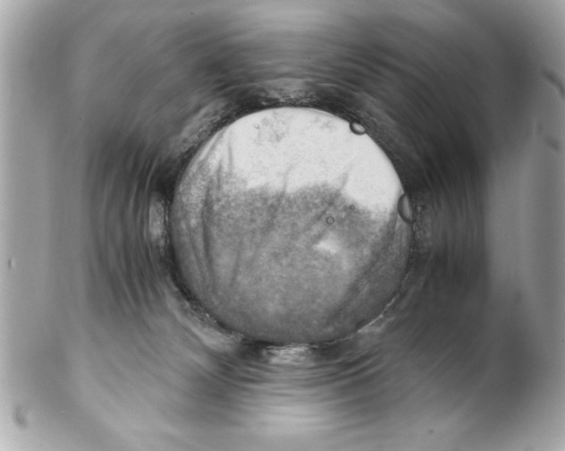 X0000102010132200808151301