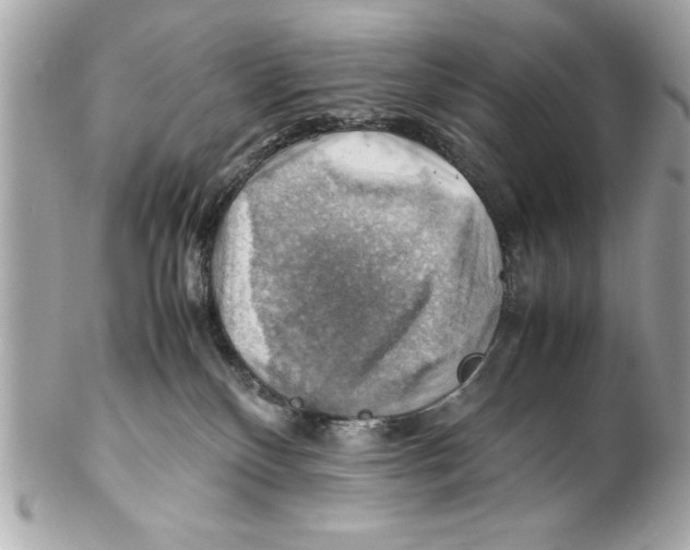 X0000102010136200808151301