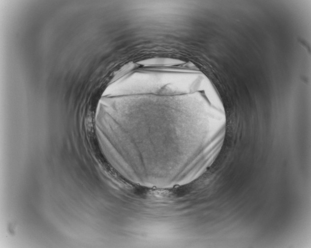 X0000102010137200808151301