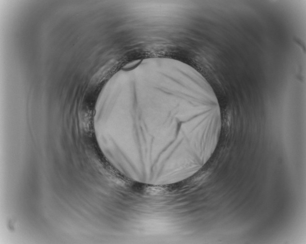 X0000102010139200808151301