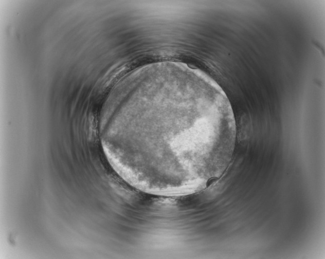 X0000102010140200808151301