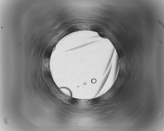 X0000102010141200808151301