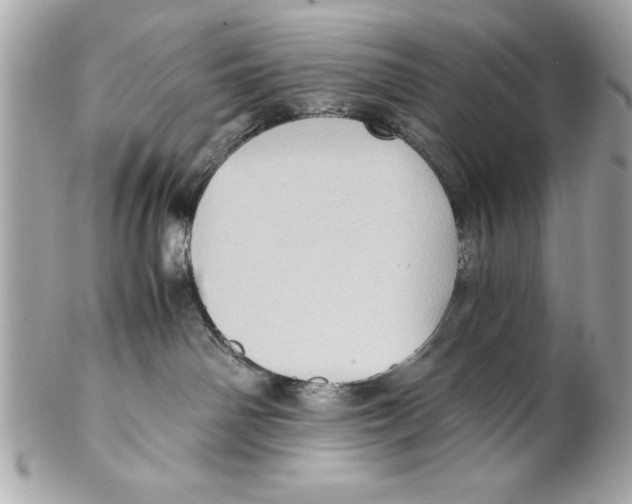 X0000102010142200808151301