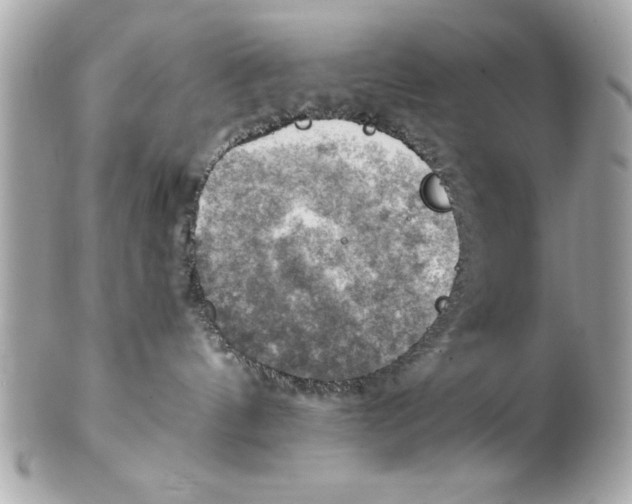 X0000102010144200808151301