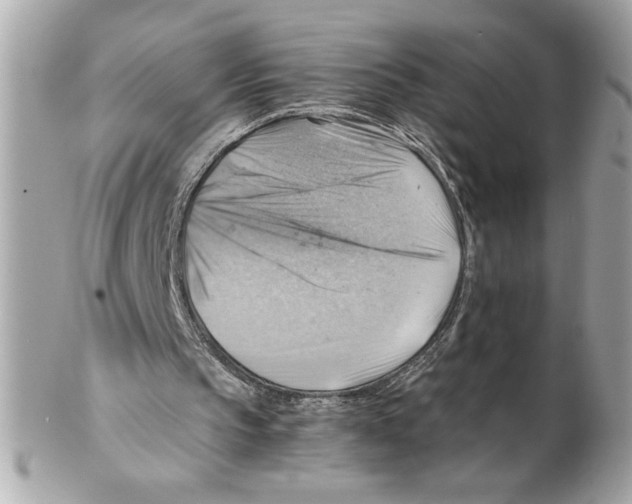 X0000102010145200808151300