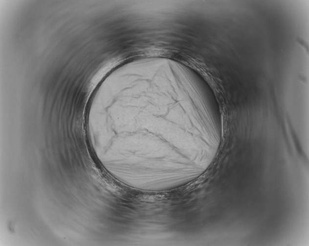 X0000102010147200808151300