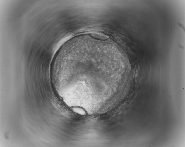 X0000102010148200808151300