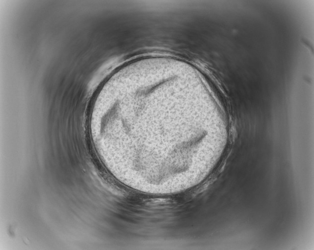 X0000102010151200808151300