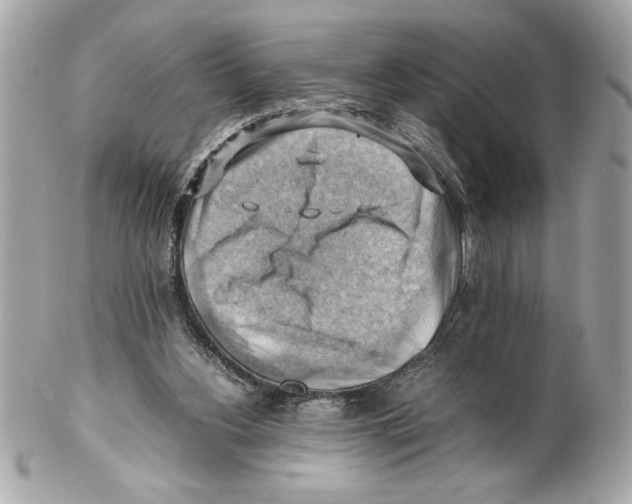 X0000102010156200808151300