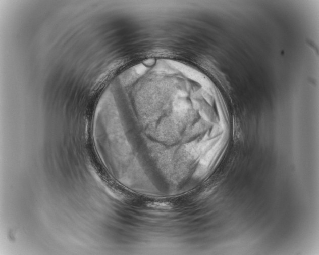 X0000102010157200808151300