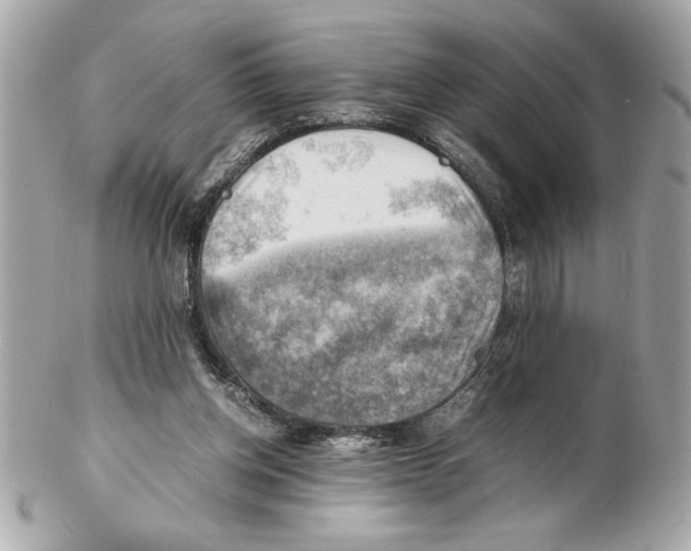 X0000102010158200808151300