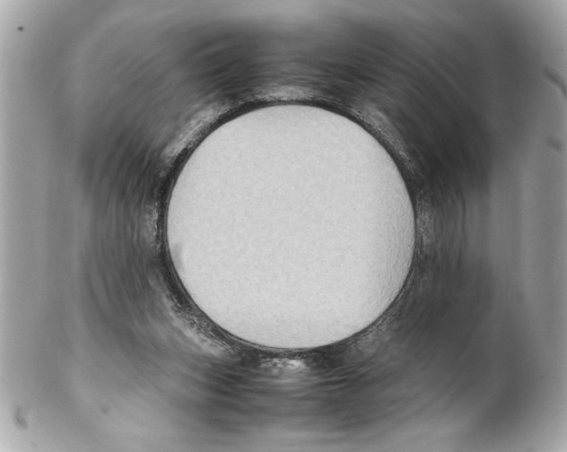 X0000102010159200808151300