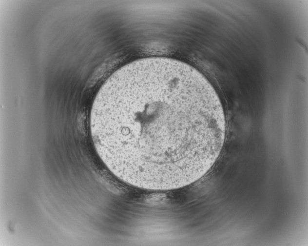 X0000102010162200808151300