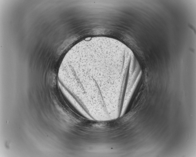 X0000102010164200808151300