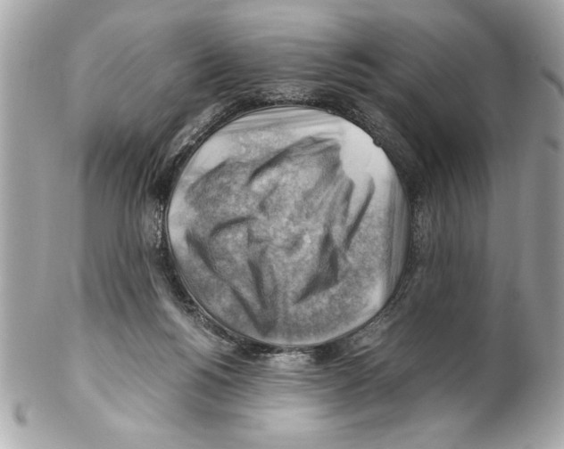 X0000102010168200808151300