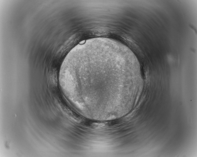 X0000102010170200808151300