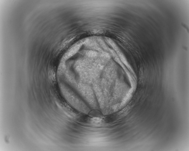 X0000102010176200808151300