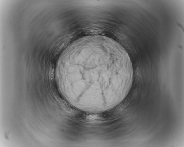 X0000102010177200808151300