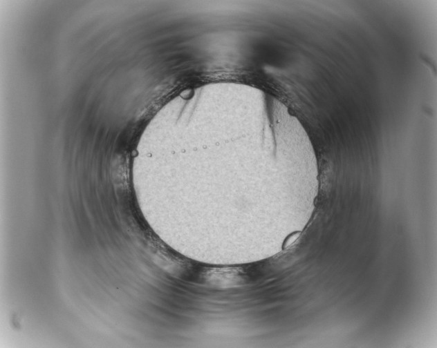 X0000102010179200808151300