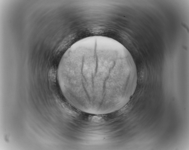 X0000102010180200808151300