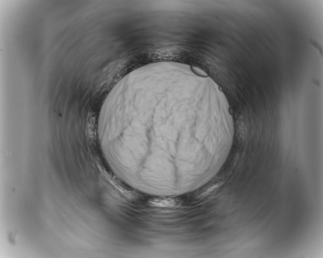 X0000102010181200808151300