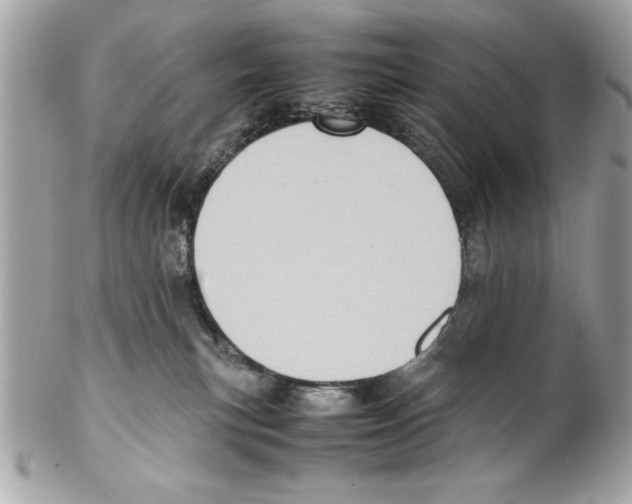 X0000102010183200808151300