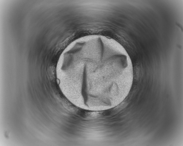 X0000102010184200808151300