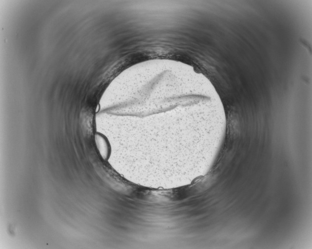 X0000102010188200808151300