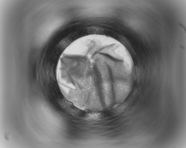 X0000102010189200808151301